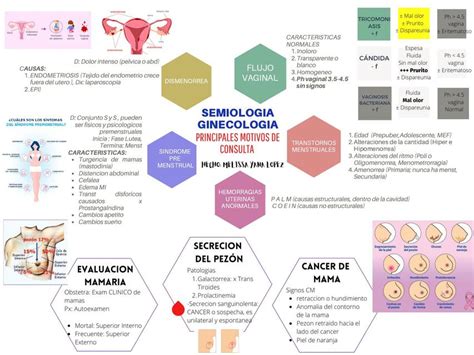 Semiología ginecológica Lissa YL uDocz