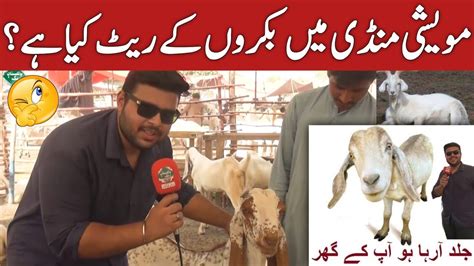 Bakra Eid Funny Video Bakra Eid Spacial Video Top New Comedy