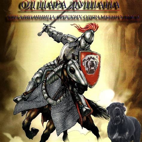 Kennel Of Serbian Defense Dog Youtube