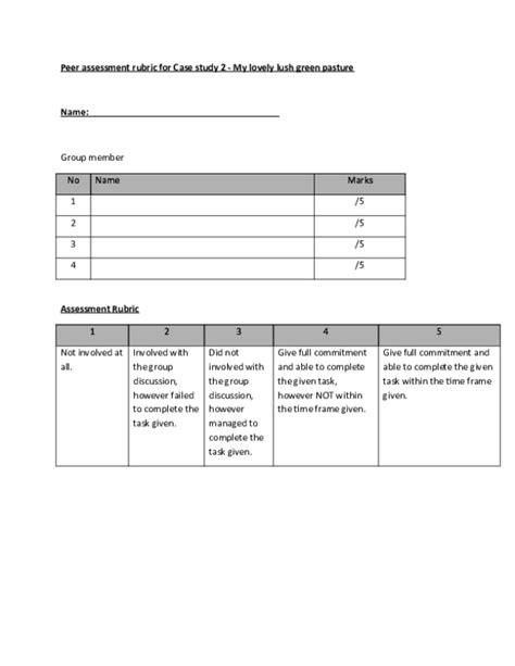 Doc Peer Assessment Form Case Study Luiza Campos