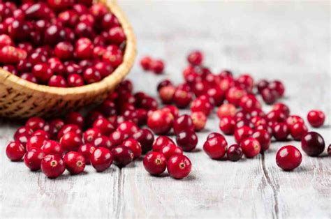 Manfaat Cranberry Untuk Kesehatan Dan Kandungan Gizinya