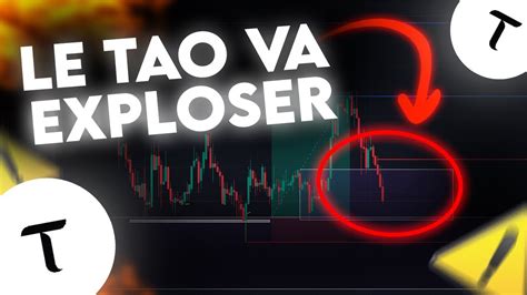 CRYPTO VOICI POURQUOI J ACHETE DU TAO ICI YouTube