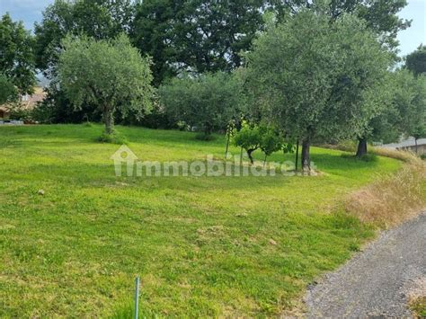 Terreno Non Edificabile Contrada Castelletta San C Petriolo Rif