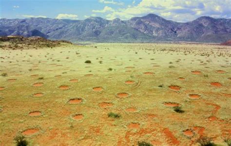 Misterul Cercurilor De Z Ne Din De Ertul Namib Fenomen Unic N Lume