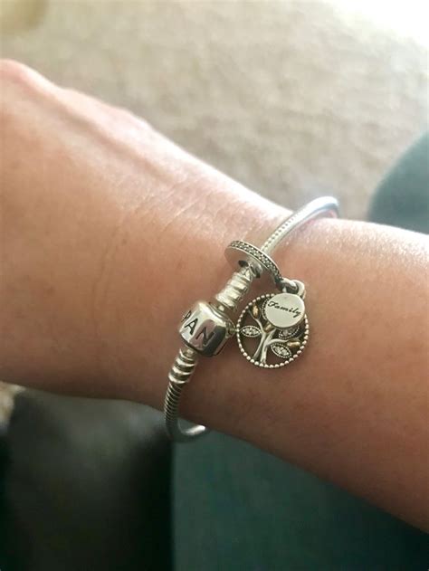 I Finally Got One Pandora Charms Alex Ani Charms Pandora