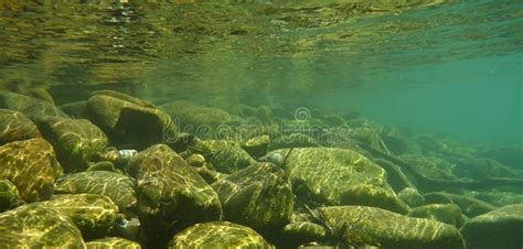 River Underwater Photography