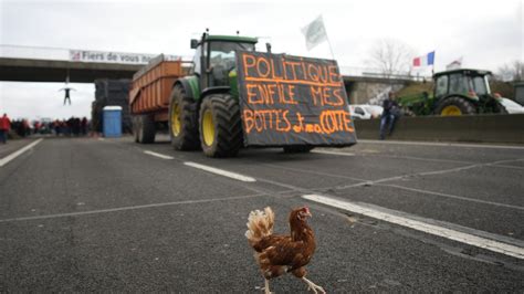 La Protesta De Los Agricultores Franceses Se Extiende A España Y Bélgica Euronews