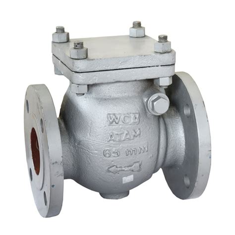 Cast Carbon Steel Swing Check Valve Flange End Class 600 At 24522 00