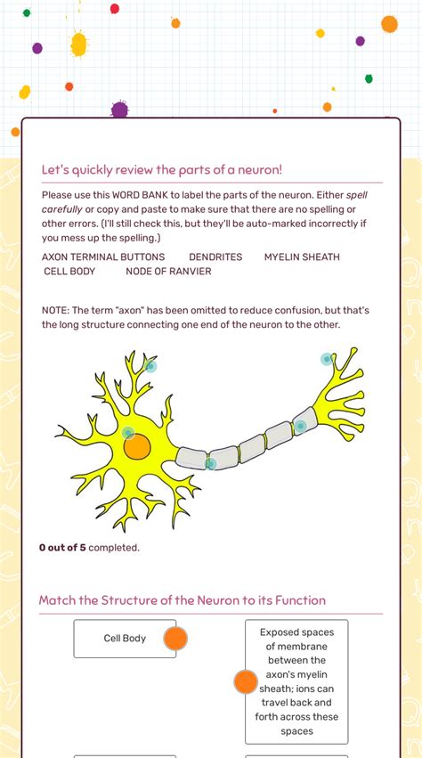 Neuron Action Potentials Interactive Worksheet By Patrick Maclaughlin