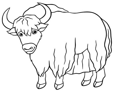 Printable Yak Coloring Play Free Coloring Game Online