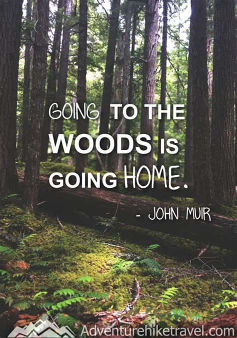 25 John Muir Quotes To Inspire Wanderlust Adventure Hike Travel