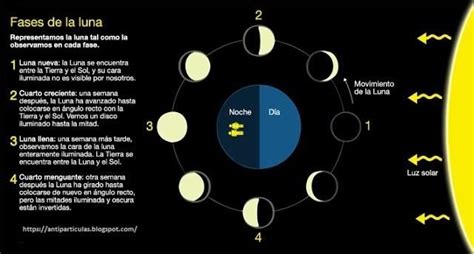 Cómo Funcionan Las Fases Lunares Explicación Simple Y Un Ejemplo Claro Paperblog Fases De