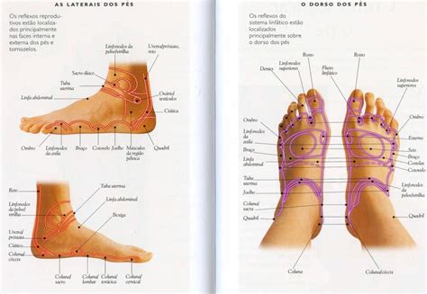 Reflexoterapia Por Silvana Hechem Navarro Instituto Long Tao