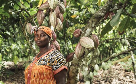 EN CÔTE D IVOIRE UNE NOUVELLE ÉTUDE DÉCOUVRE UNE HAUSSE DES REVENUS