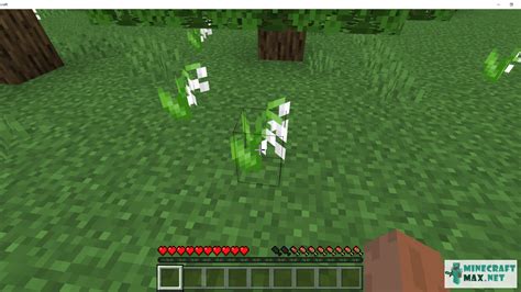 Lily Of The Valley Minecraft Asking List