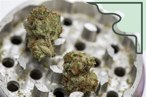 How To Grind Weed Without A Grinder Greenstate