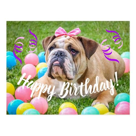 Cute Bulldog Happy Birthday Postcard Zazzleca