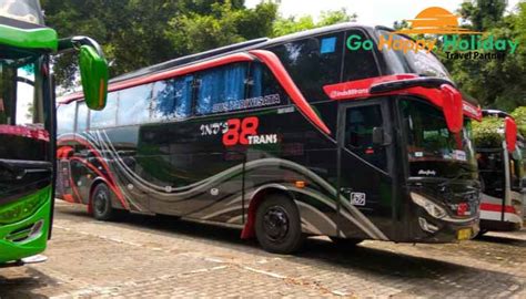 Sewa Bus Pariwisata Di Jember Terbaik Go Happy Holiday