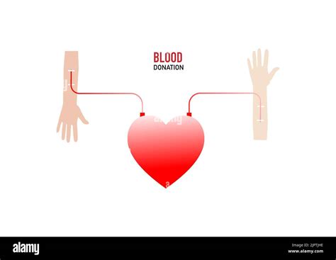 Blood Donation Concept Transfusion Of Blood From Giver To Recipient