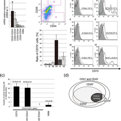 CD73 Marker Identifies The CD29 CD54 Population A Relative MRNA