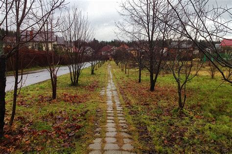 Ноябрьская природа - прогулки в ветер и в дождь