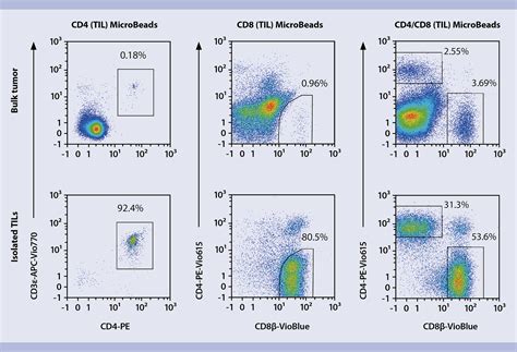 Tumor Infiltrating Leukocytes Til Isolation Miltenyi Miltenyi