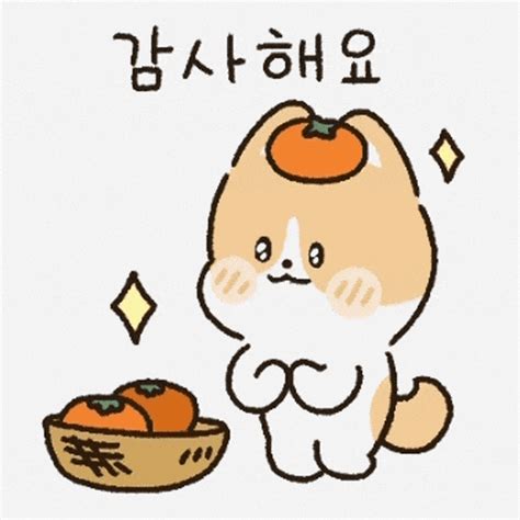 Daum 카페