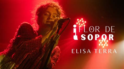 Elisa Terra Flor De Isopor Ao Vivo YouTube