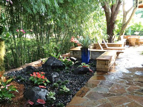 South Florida Landscaping Tropical Landscape Miami By Bamboo