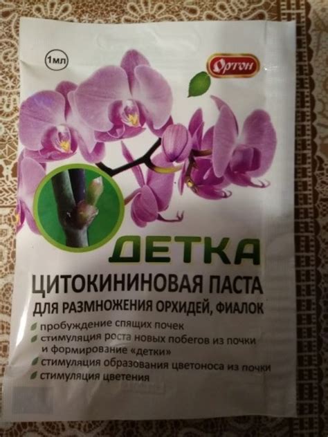 Цитокининовая паста: инструкция по применению для комнатных растений