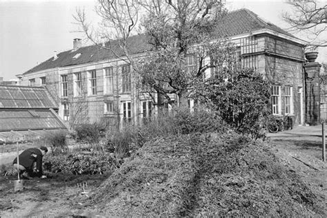 Hortus Botanicus Amsterdam Amsterdam Netherlands Atlas Obscura