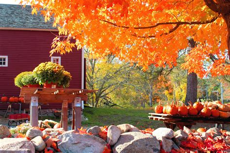 100 New England Autumn Wallpapers