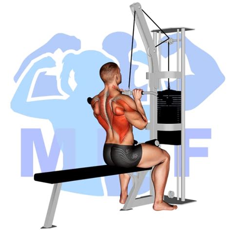 Lat Pulldowns For A Sexy V Taper Your Exercise Guide And Tips