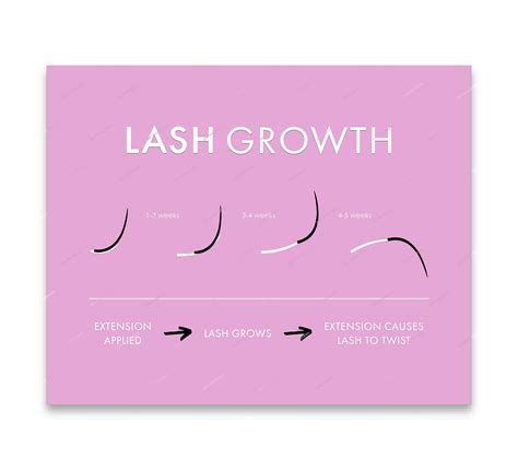 Lash Extension Growth Cycle Chart Multicolor Digital Art Print