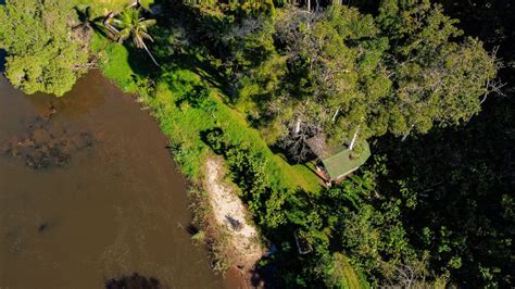 Casa na Árvore da Mata em Nilo Peçanha Reserve na Holmy