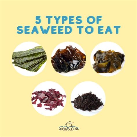 5 Types Of Seaweed To Eat Delicious Varieties Perfect For Your Next