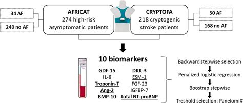 Frontiers Blood Based Biomarkers To Search For Atrial Fibrillation In