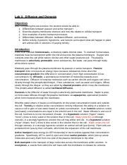 Diffusion And Osmosis Docx Lab Diffusion And Osmosis Objectives