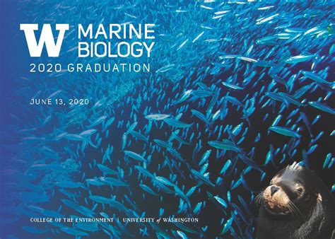 Marine Biology Marine Biology At The University Of Washington