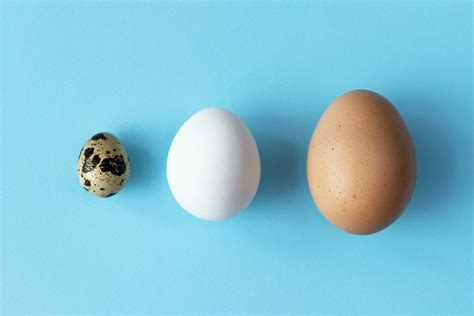 5 Different Types of Eggs (and 7 Ways To Cook Them) - Nutrition Advance