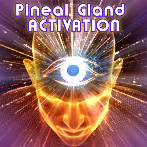 Pineal Gland Activation Lbum De Emiliano Bruguera En Apple Music