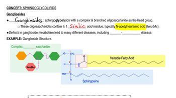 Tay-Sachs disease is caused by an inability to degrade:A.) Sphing... | Channels for Pearson+