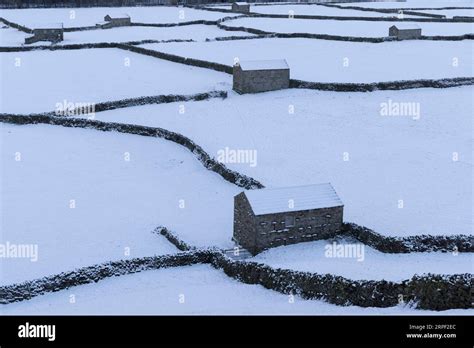 Snow Covered Meadows Stone Barns And Dry Stone Walls At Gunnerside