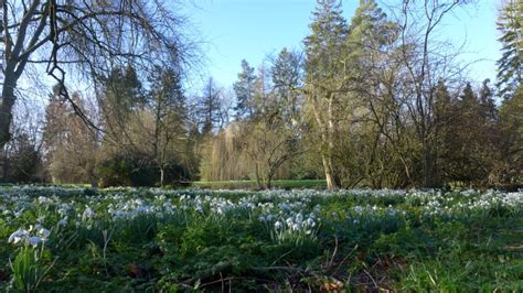 Great Thurlow Hall Haverhill Ngs Gardens