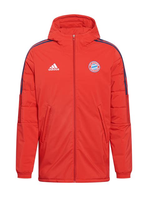 Men Team spirit jacket red | Official FC Bayern Munich Store