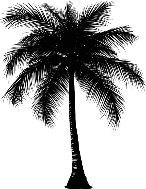 Ai Generated Silhouette Coconut Tree Black Color Only 38020725 Vector