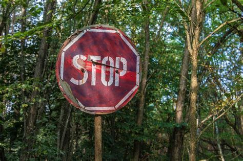 Partner nechce sex je to konečná Instinkt