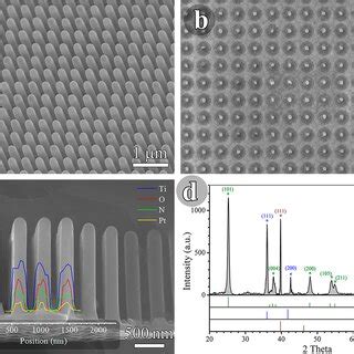 A B Top View Sem Images Of Coreshell Nanotube Nanowire Array Of