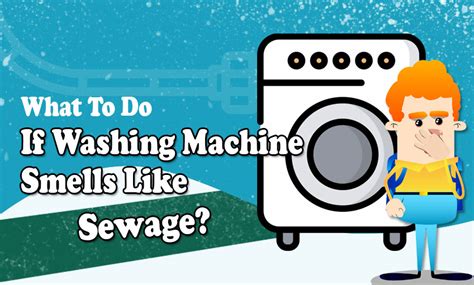 What To Do If Washing Machine Smells Like Sewage Bds Drainage