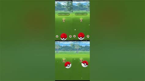 【ポケモンgo】ハリマロンコミュニティデイで色違いを求めて！！ Shorts Youtube